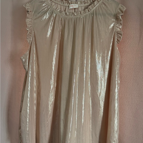 Hailey & Co. Tops - Gold Blouse